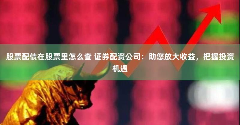 股票配债在股票里怎么查 证券配资公司:助您放大收益,把握投资机遇