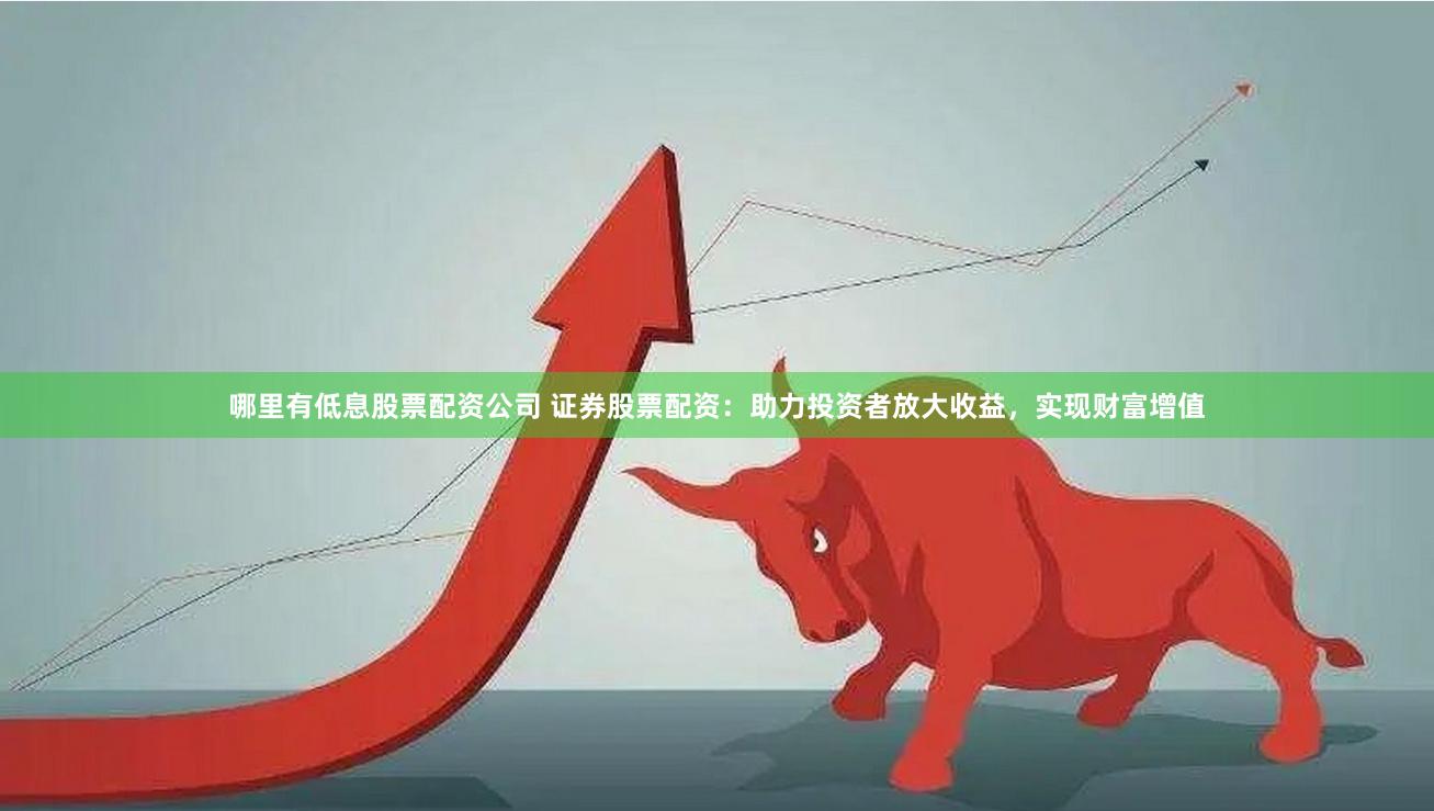 哪里有低息股票配资公司 证券股票配资：助力投资者放大收益，实现财富增值