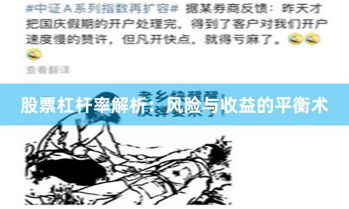 股票杠杆率解析：风险与收益的平衡术